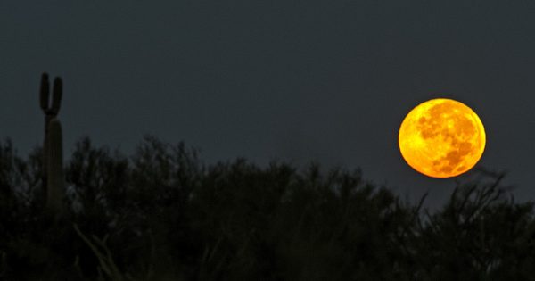 La puesta de la Luna en Arizona, Estados Unidos