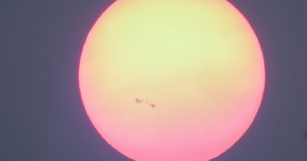 Foto del Sol y la región activa 2403 desde Washington, Estados Unidos