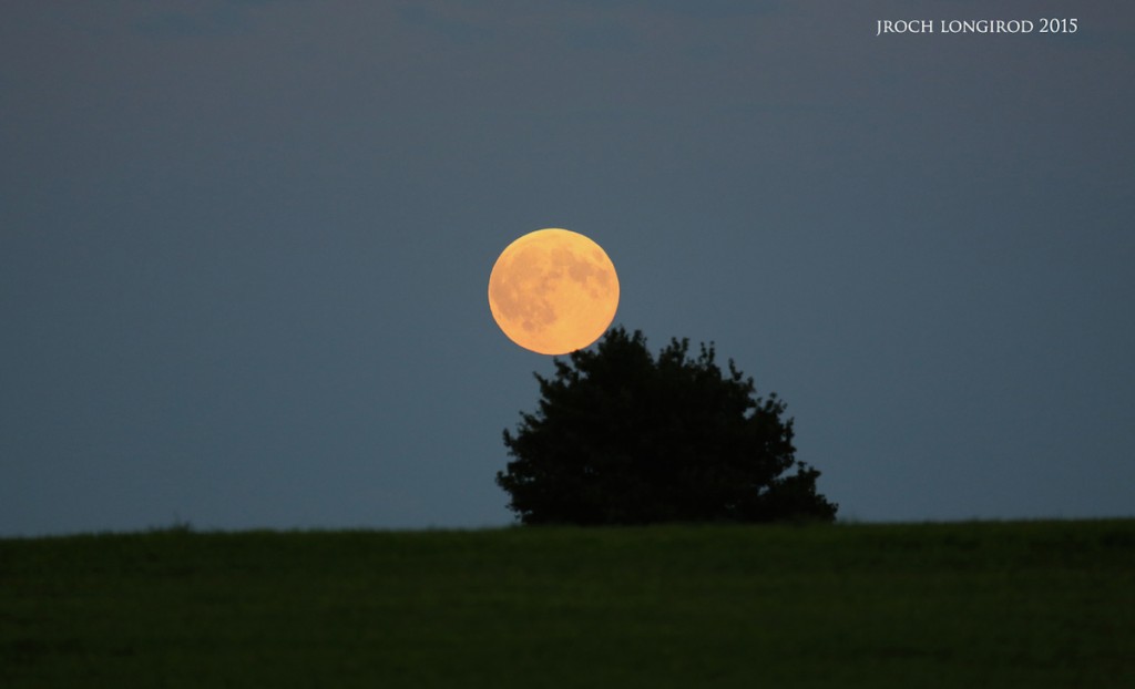 juan-roch-408B3349rt1600xxx_1440914631