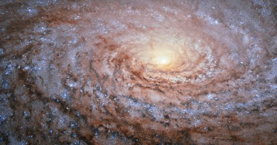 La Galaxia M63: un girasol cósmico