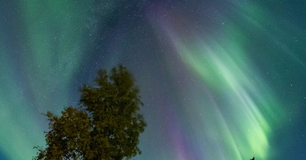 Auroras boreales desde Alaska