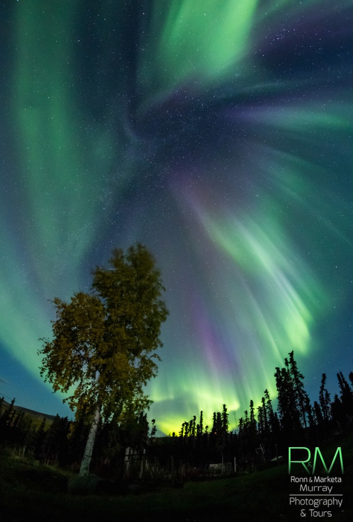 Marketa-S-Murray-MSM_1236_1441566764