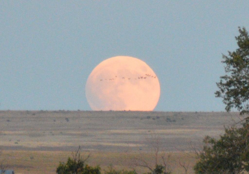 La salida de la Luna desde Nuevo México, Estados Unidos