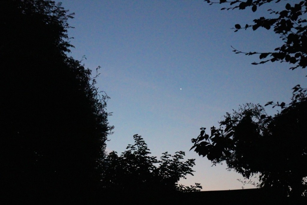 mark-buxton-venusrising_1441520574