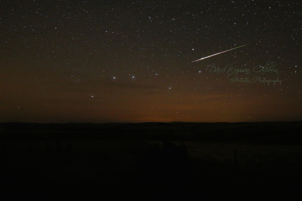 Darci-Calhoun-IMG_5991ars_1444623312