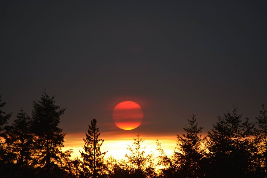 Dawn-eversole-11882396_10204656867411347_2582586932923384077_o_1445838743