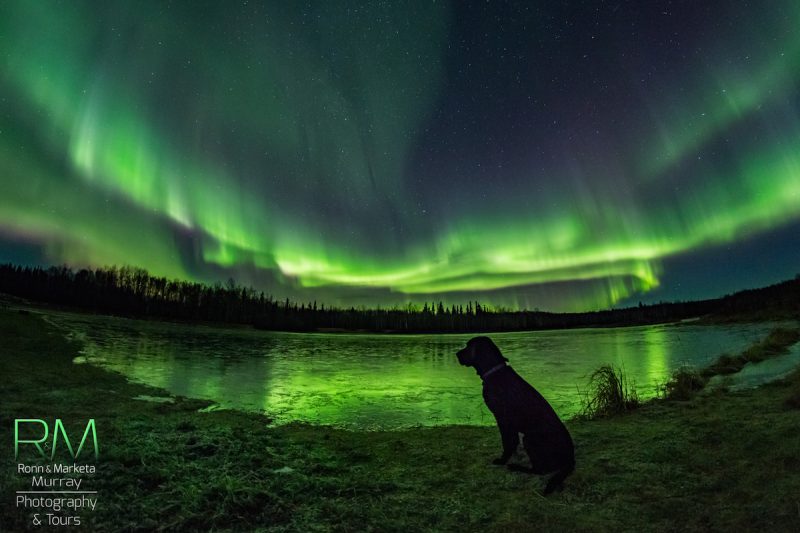 Auroras boreales desde Alaska