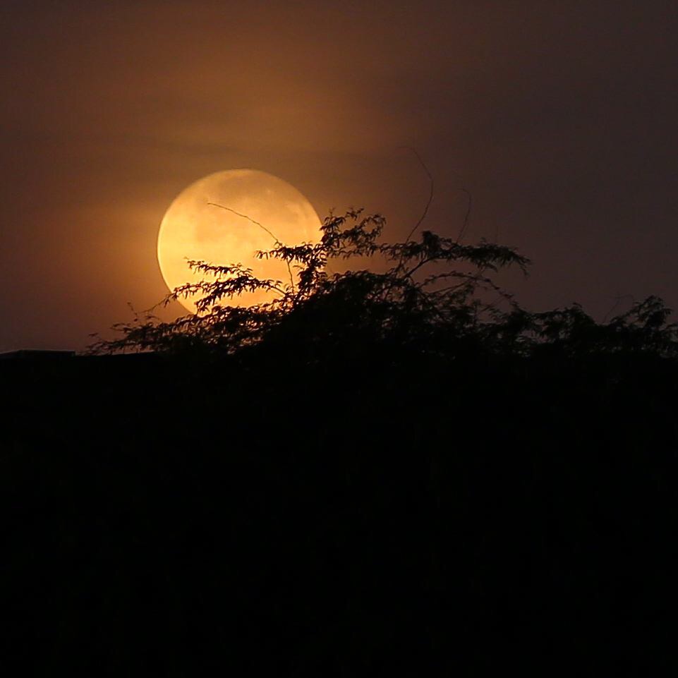 La puesta de la Luna desde Baréin