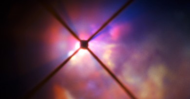 Revelado el secreto de la pérdida de peso de estrellas envejecidas