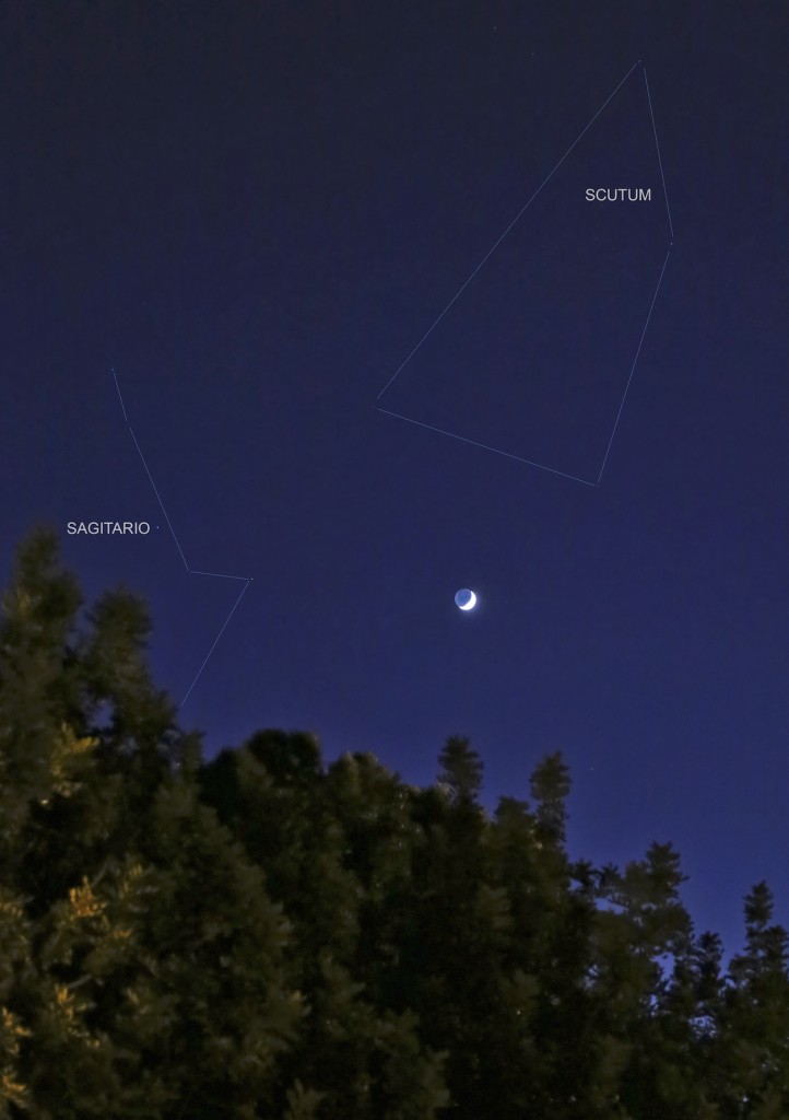 Alfredo-Miguel-IMG_7393 c