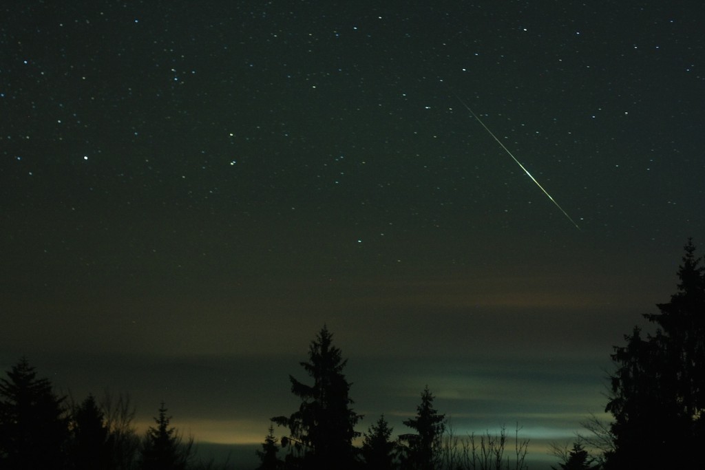 Foto de una táurida desde Austria