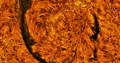 Foto del filamento circular en el Sol