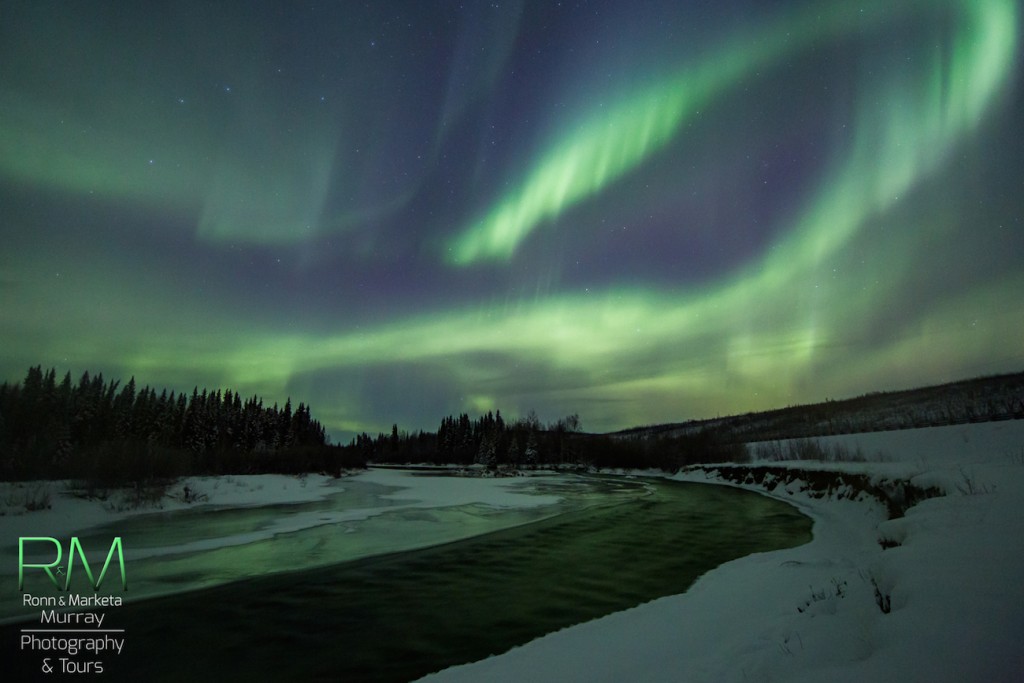 Marketa-S-Murray-MSM_1239_1447206514