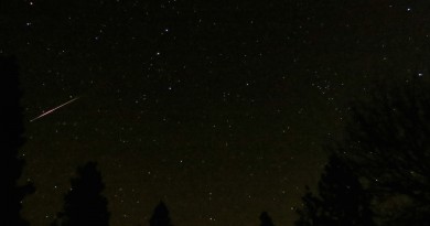 Foto de una leónida desde Washington, Estados Unidos