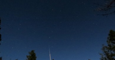 Una táurida desde Washington, Estados Unidos