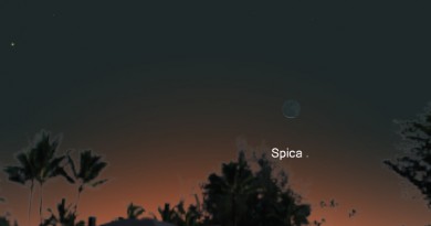 La conjunción de la Luna y Spica será visible antes del amanecer del 9 de noviembre