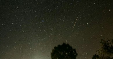 La constelación de Orión, Sirius y una Gemínida desde la India