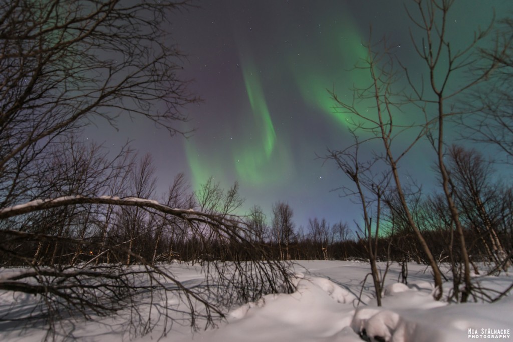 Auroras boreales desde Kiruna, Suecia