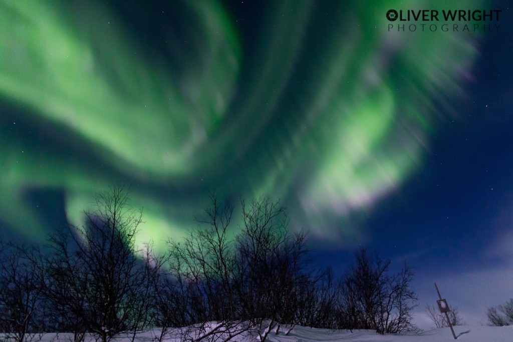 Oliver-Wright-FJ8R0597_1451178410