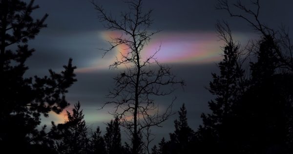 Nubes estratosféricas polares desde Abisko, Suecia