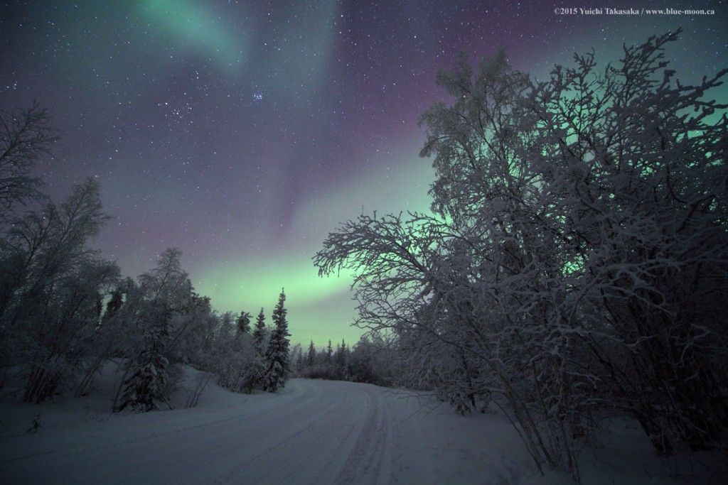Auroras boreales desde los Territorios del Noroeste, Canadá