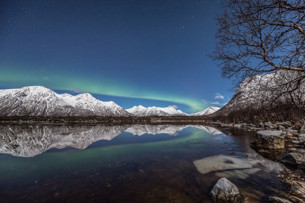 benny-HAcynes-2usign.jpg2000_1451343519