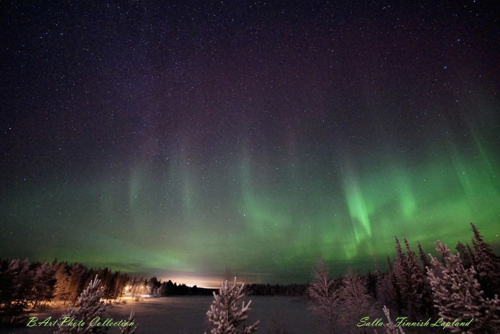 B.Art-Braafhart-B.ArtDSC08260afbn_1452472203