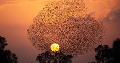La puesta de Sol desde Tidhar, Israel