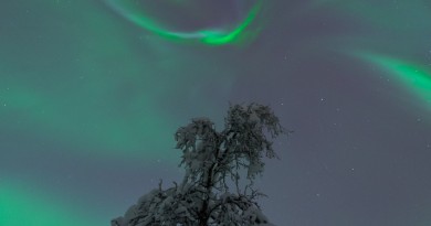 Auroras boreales desde Tromsø, Noruega