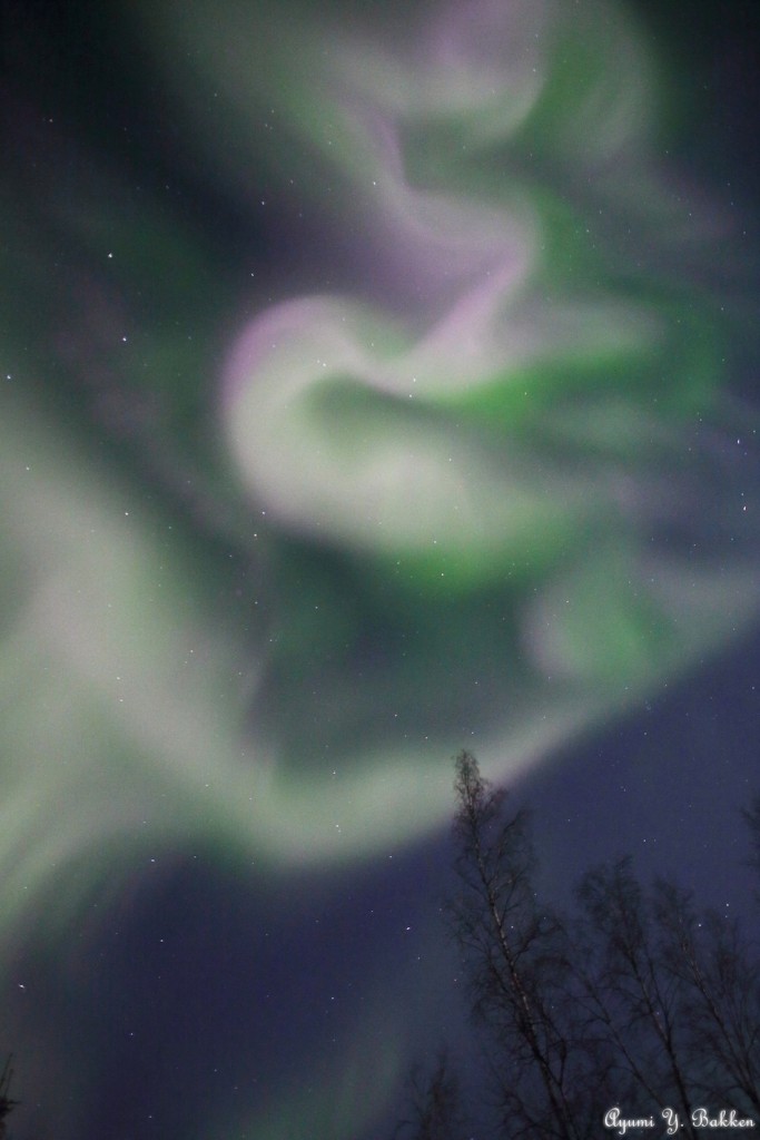 Ayumi-Y.-Bakken-3H5A9725b_1455792953