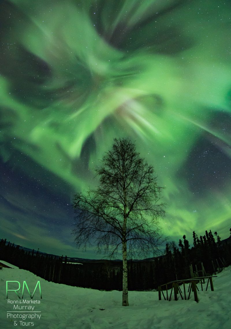 Auroras boreales desde Alaska