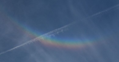 Arco circuncenital desde Washington Estados Unidos