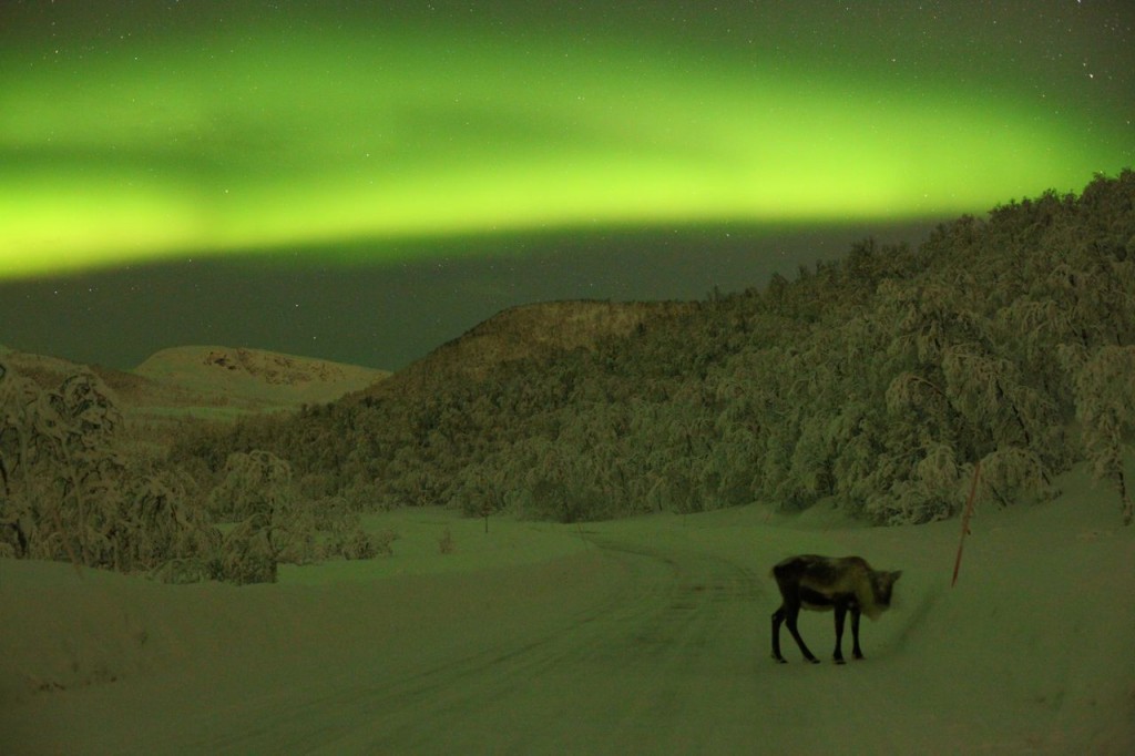 Terence-Murtagh-IMG_2976_1454723926