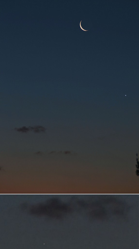 Zlatko-Orbanic-388077389112