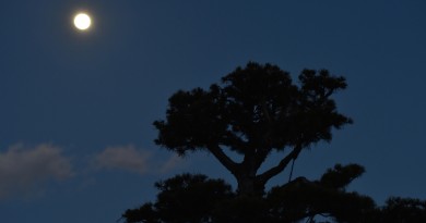 La Luna desde Ōtawara, Japón
