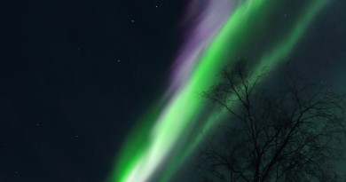 Auroras boreales desde Fairbanks, Alaska