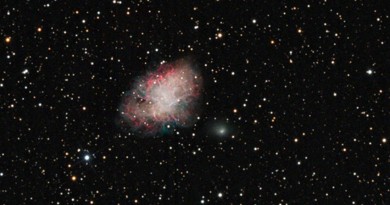 El Cometa 81P/Wild 2 y la Nebulosa del Cangrejo (Messier 1)