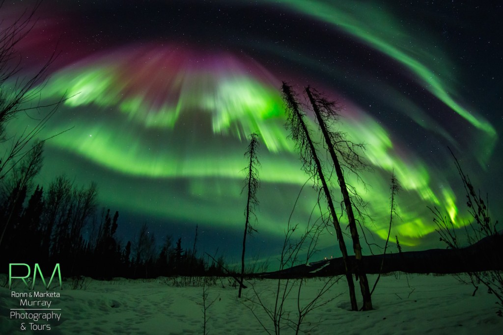 Auroras boreales desde Fairbanks, Alaska