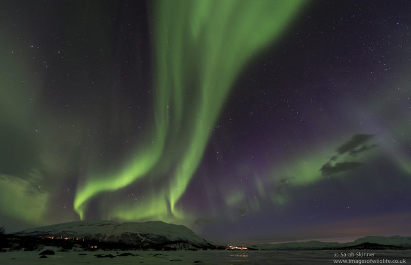 Auroras boreales desde Abisko, Suecia