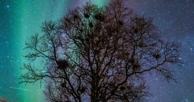 Auroras boreales desde Grøtfjorden, Noruega