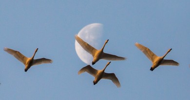 La Luna desde Jiangxi, China