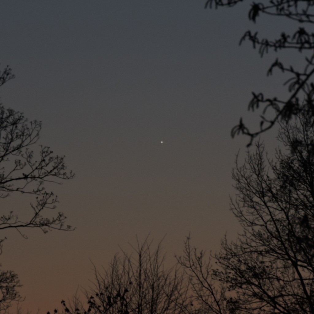 Bard-Anton-Zajac-mercury-DSCN7448--c1---bazajac---ccby-nc-sa4.0_1460032421