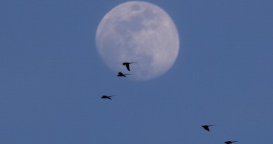 La Luna desde Estambul, Turquía