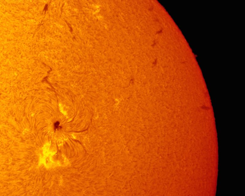 Imagen del Sol y la región activa 2529 (H-alfa)