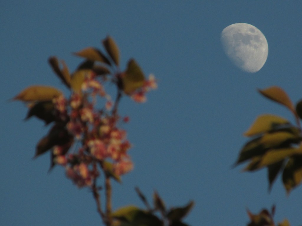 La Luna desde Castleford, Inglaterra
