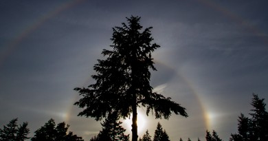 Halo solar y parhelios desde Washington, Estados Unidos