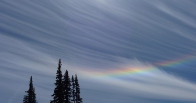 Halo solar y un arco circunhorizontal desde Washington, Estados Unidos