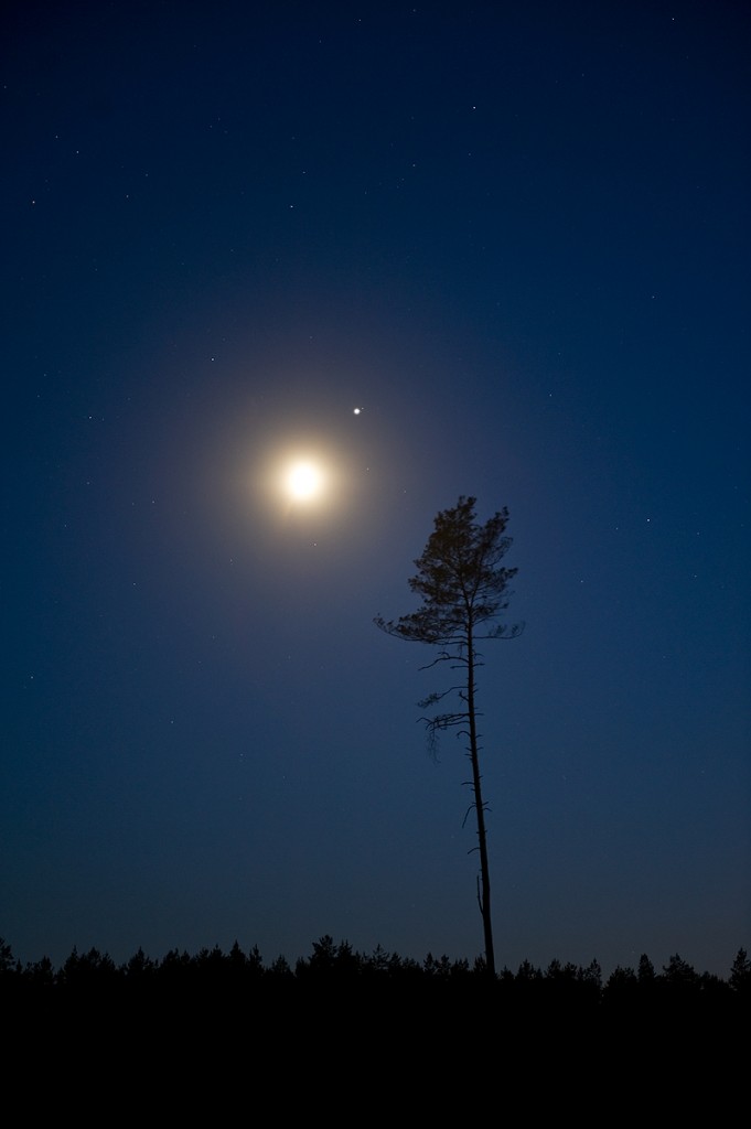 Marek-Nikodem-DSC_2708_1465695749