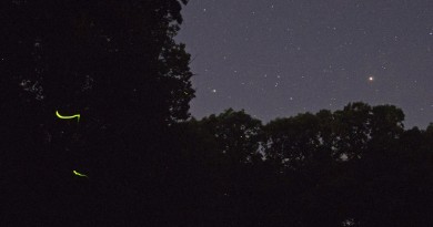 Saturno, Marte y una luciérnaga desde Iowa, Estados Unidos