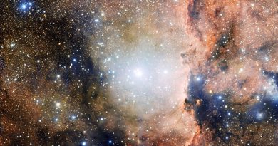 Un gran espectáculo de estrellas nuevas en la constelación de Ara